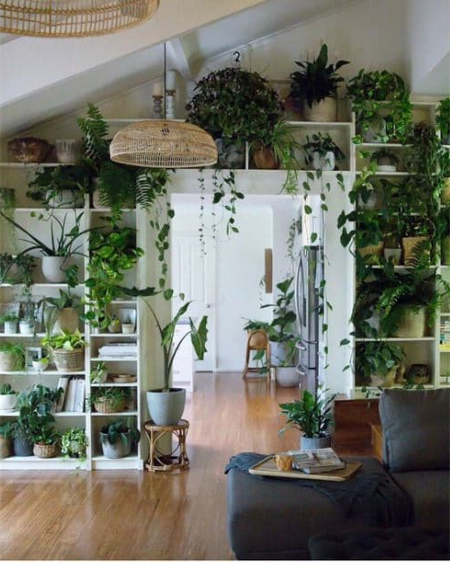 Decorate Living Room With Indoor Plants | Baci Living Room inside How to Choose the Perfect Plants That Thrive in Your Living Room Environment