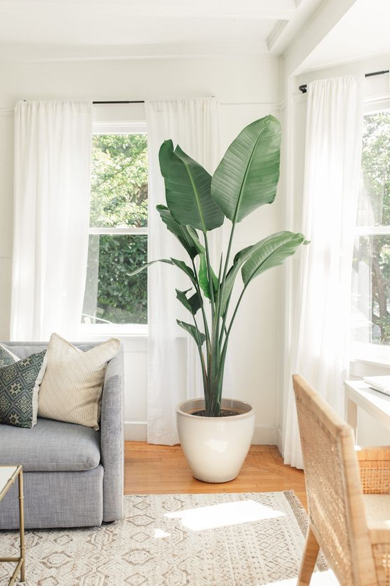 How To Arrange Plants In Living Room: 20 Fun Ideas To Test | Decoración ... regarding How to Choose the Perfect Plants That Thrive in Your Living Room Environment